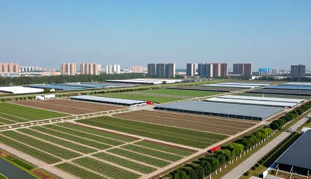 企业信息化浪潮下，网络技术咨询如何驱动业务趋势变革